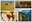 collage.jpg