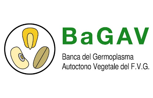 Banca del germoplasma