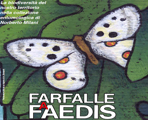 Farfalle a Faedis