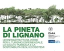 La pineta di Lignano. Un’infrastruttura verde per il turismo esperienziale, la salute pubblica e la sostenibilità degli ecosistemi