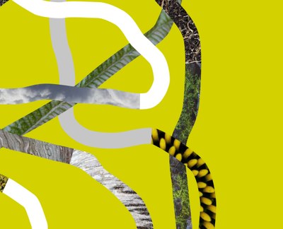 Treeart Festival 2025: natura, cultura e paesaggio