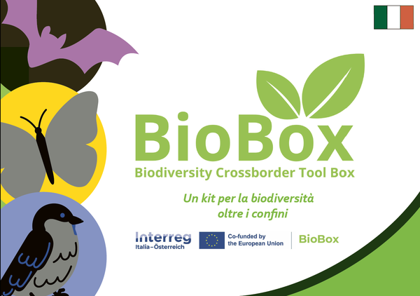 Biobox_toolbox.png