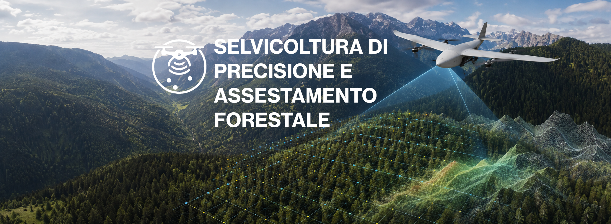 Selvicoltura di precisione e assestamento forestale