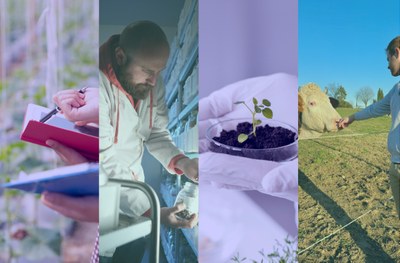 I video dei Corsi di Laurea